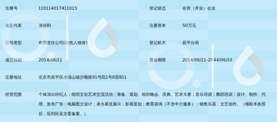 北京音樂(lè)泉文化傳媒 以文化藝術(shù)交流活動(dòng)策劃點(diǎn)亮城市之光