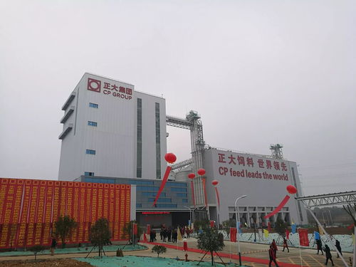 新洲這個億元項目刷新建設速度 投資興辦實業
